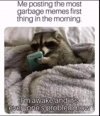 This meme features a picture of a cat sitting on a couch, looking bored and unimpressed. The text above the image reads, "I'm posting the most garbage memes first thing in the morning" and below it says, "I'm awake and it's everyone's problem now." The meme is likely a humorous take on the idea of a cat being a grumpy morning creature.